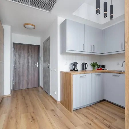Apartament Modern With Swimming Pool In Hanza Tower By Renters