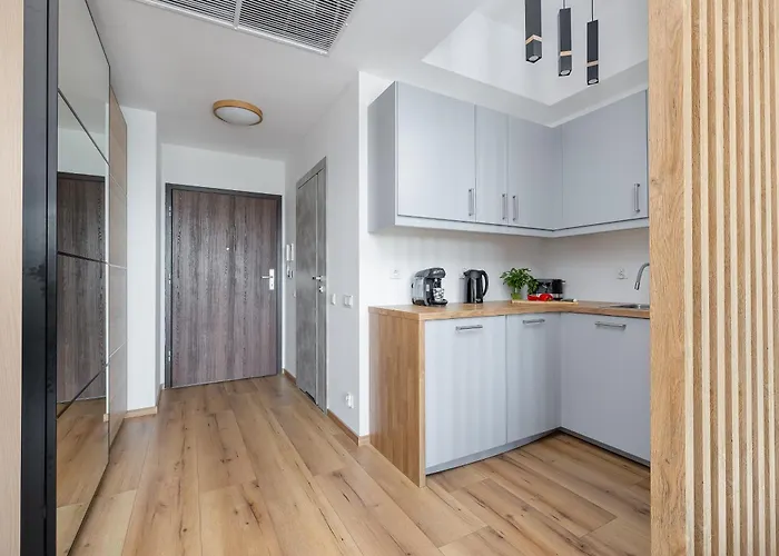 Apartament Modern With Swimming Pool In Hanza Tower By Renters