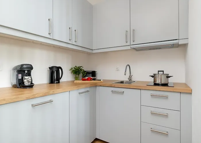 Modern With Swimming Pool In Hanza Tower By Renters *