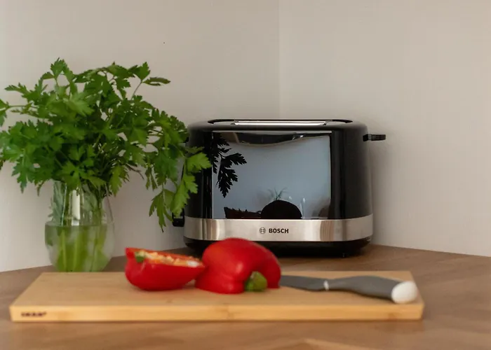 Modern With Swimming Pool In Hanza Tower By Renters *