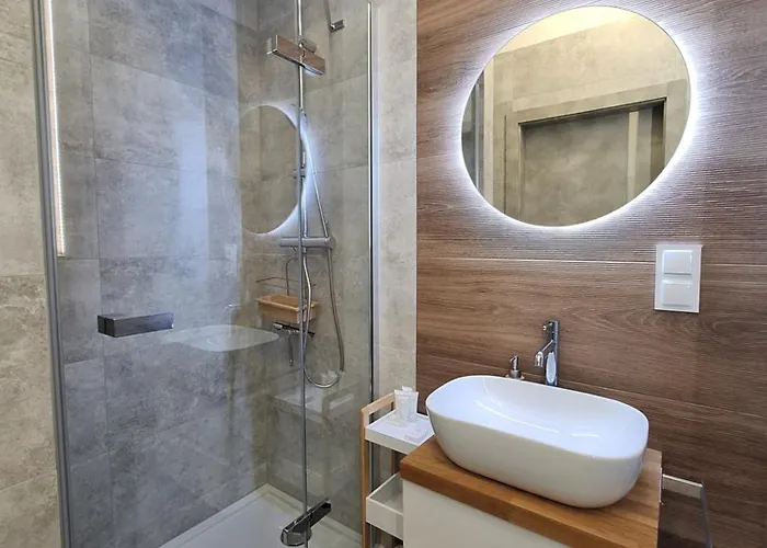 Modern With Swimming Pool In Hanza Tower By Renters דירה